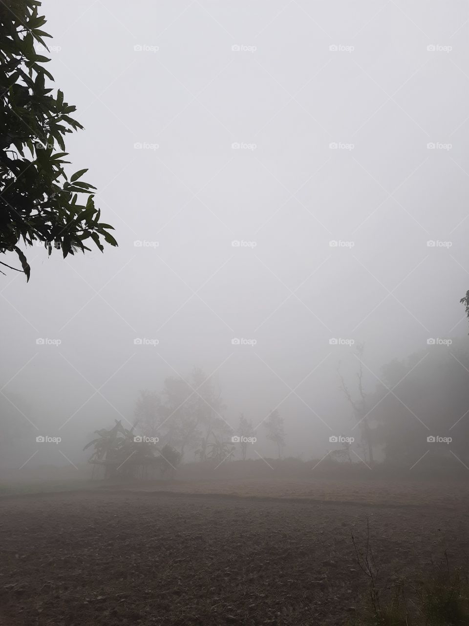 winter is a blessing for us .