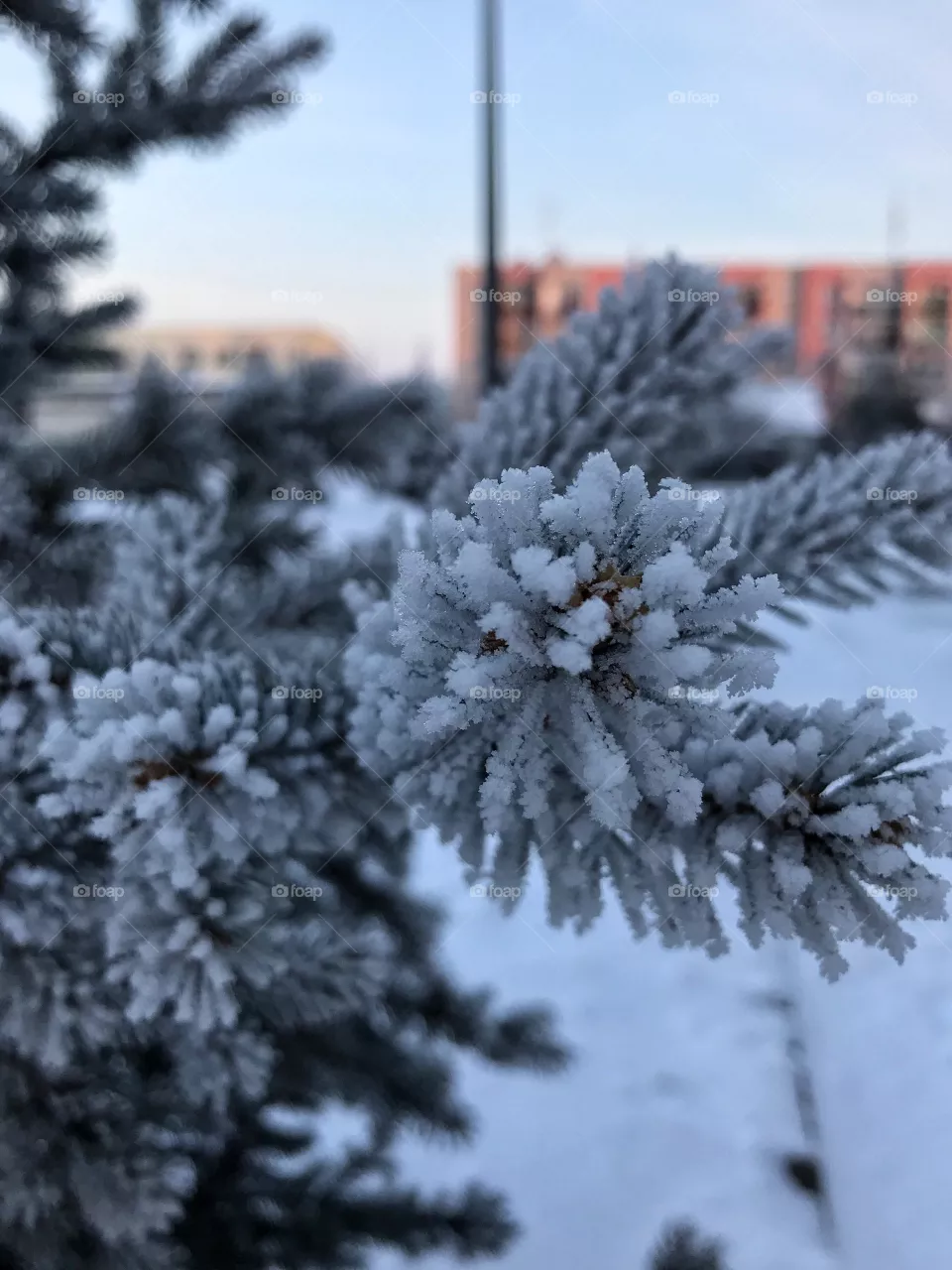 Winter