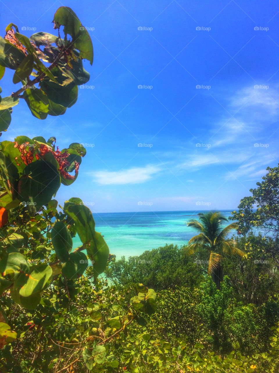 Bahia Honda Overseas Highway