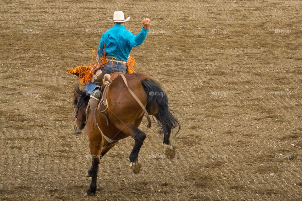 Cowboy on Bucking Horse