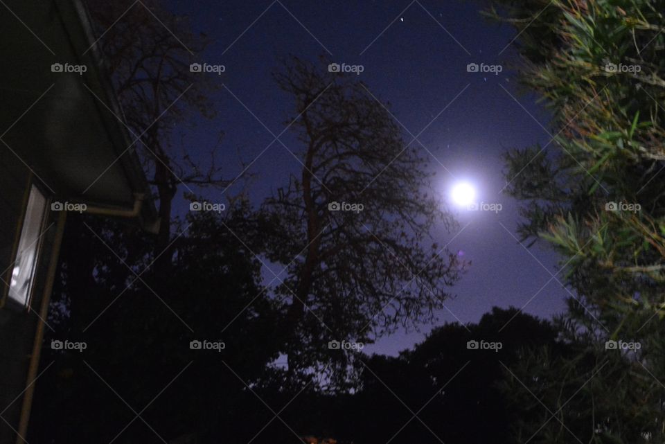 Full moon night. May all beings peace and tranquility with them.