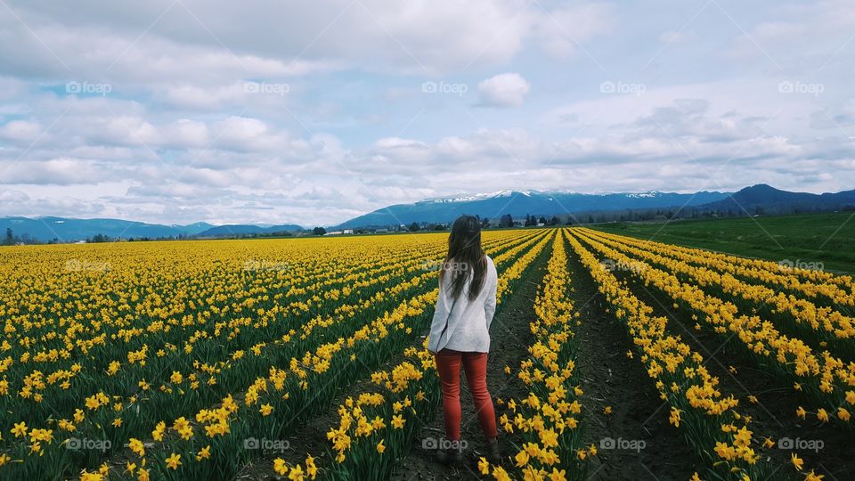 Enjoying the Daffodils @ Roozengaarde