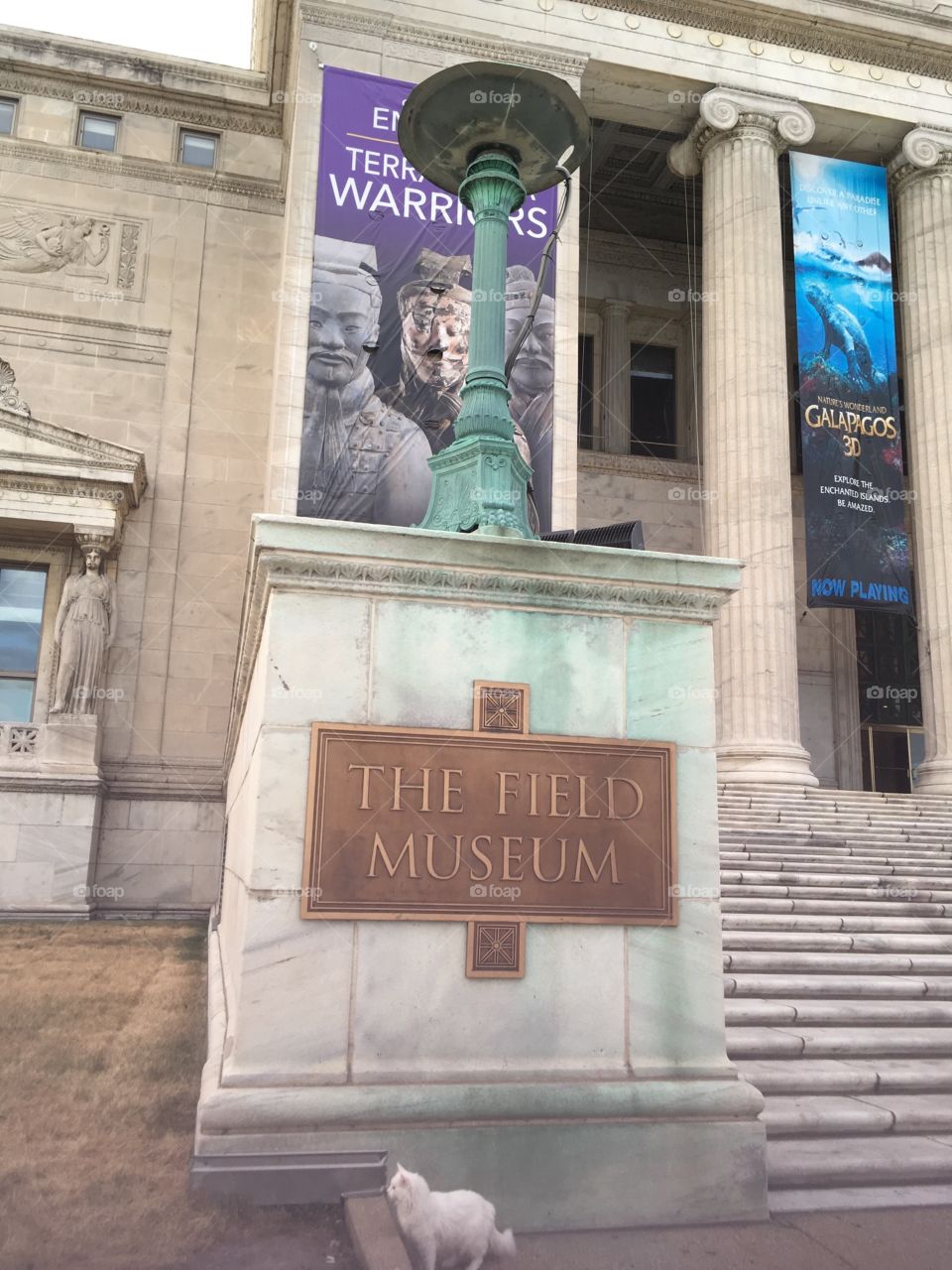 The Field museum