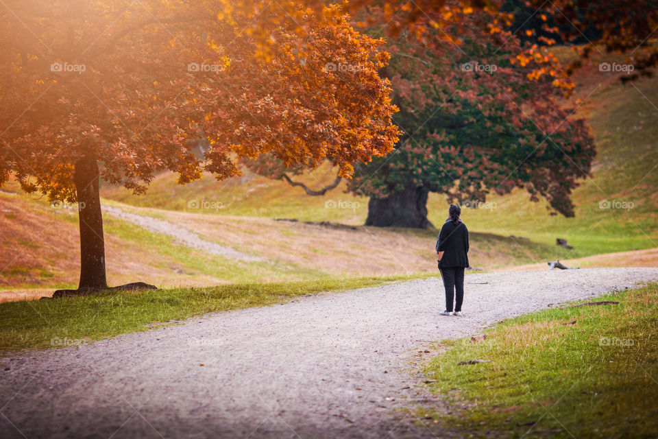 Woman standing on street near trees during autumn