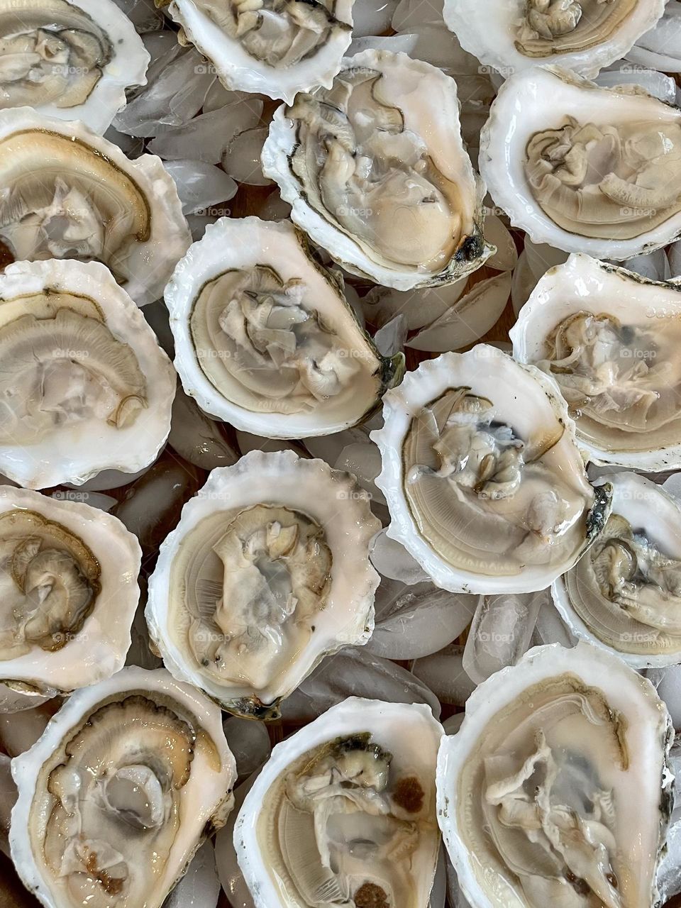 My comfort food. Maine Oysters for the win!
