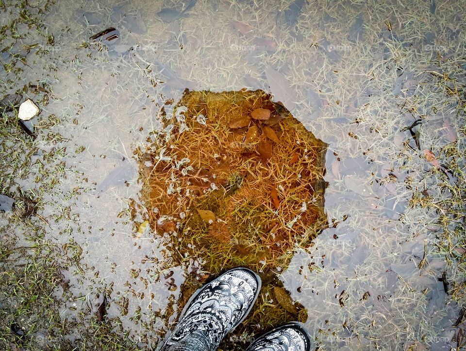 Reflection of an Umbrella in a Rain Puddle