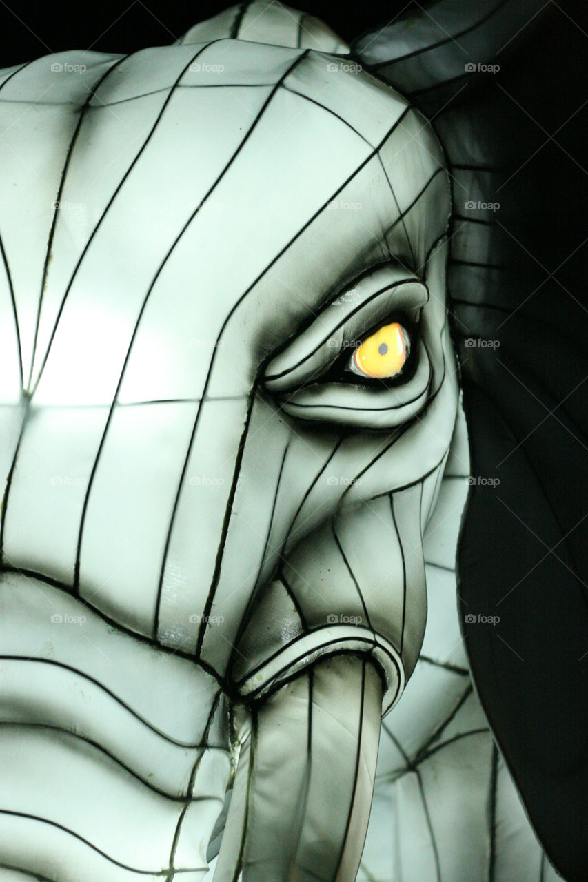 Dallas zoo lights elephant