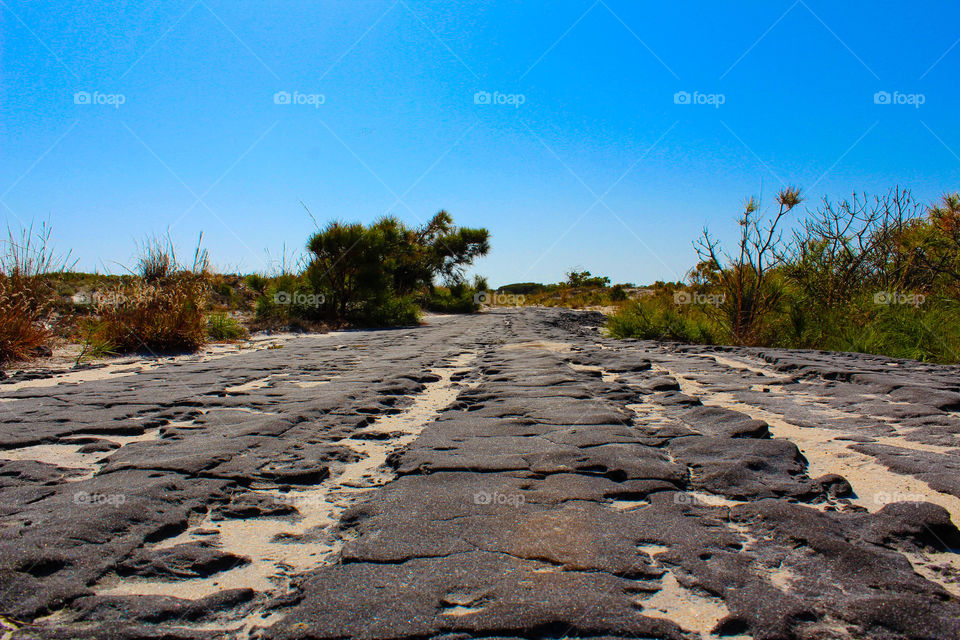 The broken road: an old asphalt road from an abandoned settlement on Assateague Island, MD.  
