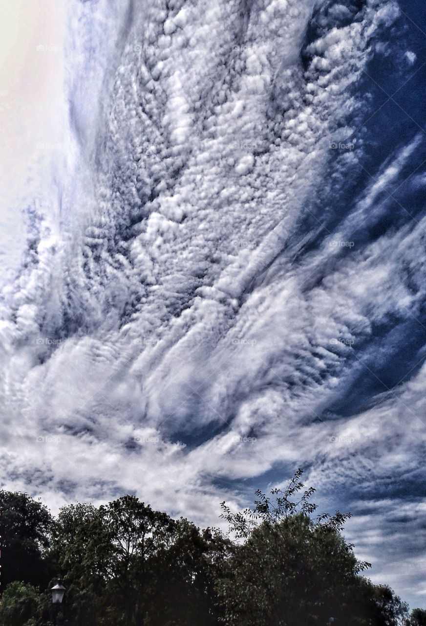 sky cloud palm shaped cloud by robinseet