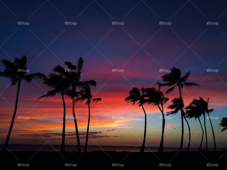 Colorful skies . Awesome colors after sunset 