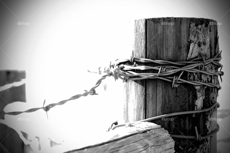 Isolated black and white view of a weathered fence post wrapped with barbed wire