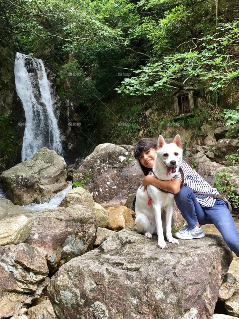 Summer adventures with my dog ​​in the mountains of Japan!