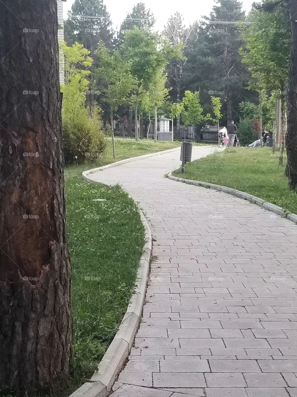 parku japonez