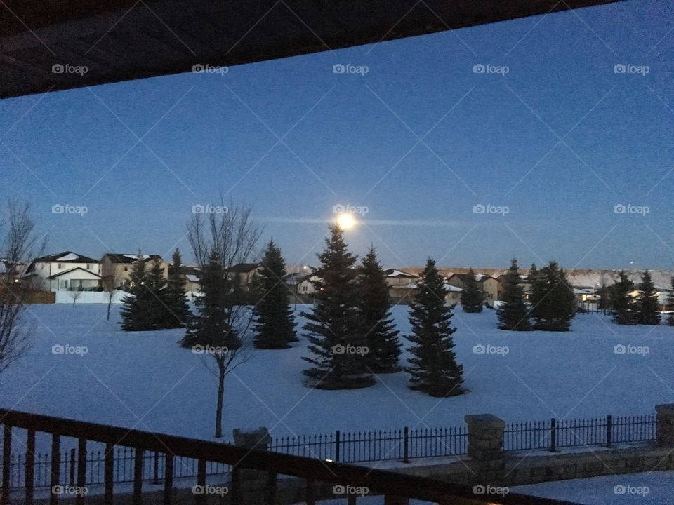 Alberta moon 