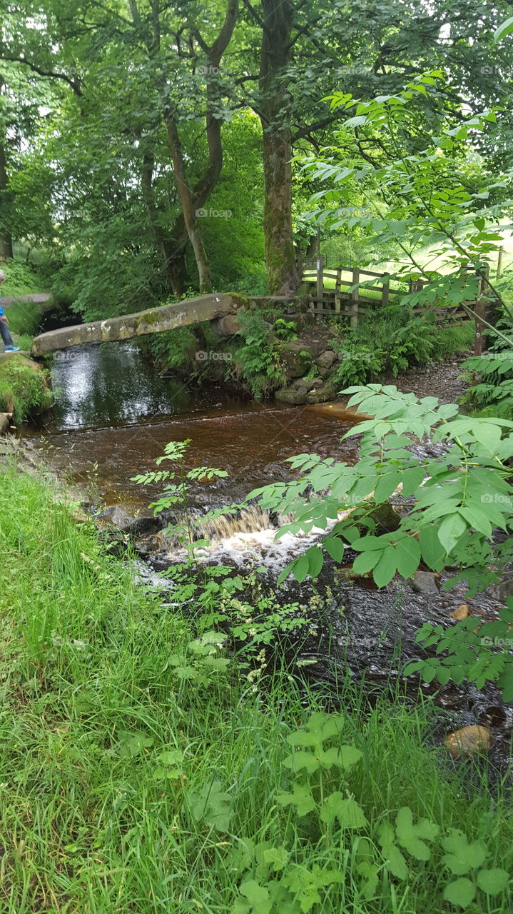 across the ford