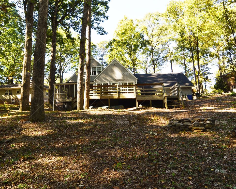 Wood, Tree, No Person, House, Park