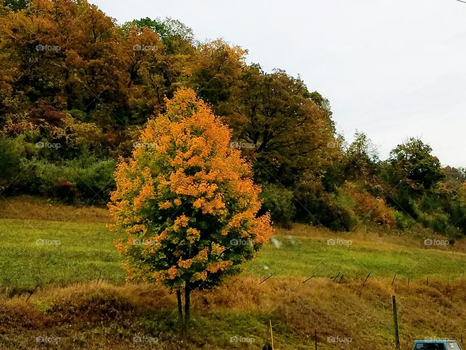 Driving the Back Roads and enjoying everything around us