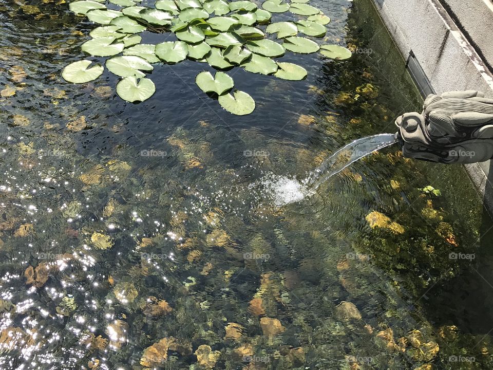 Water detail Chi Lin nunnery Hong Kong