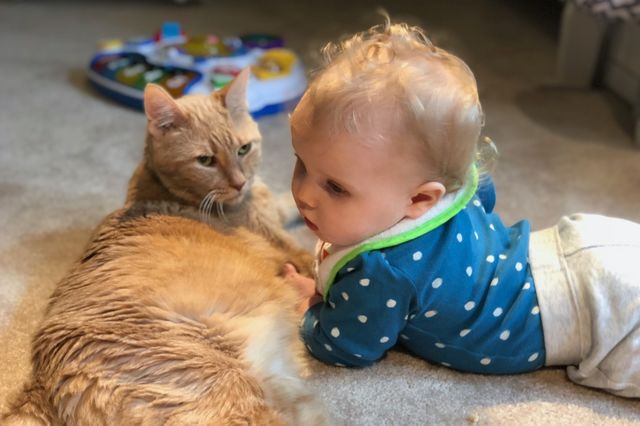 A girl’s best friend isn’t diamonds.. it’s her cat. 