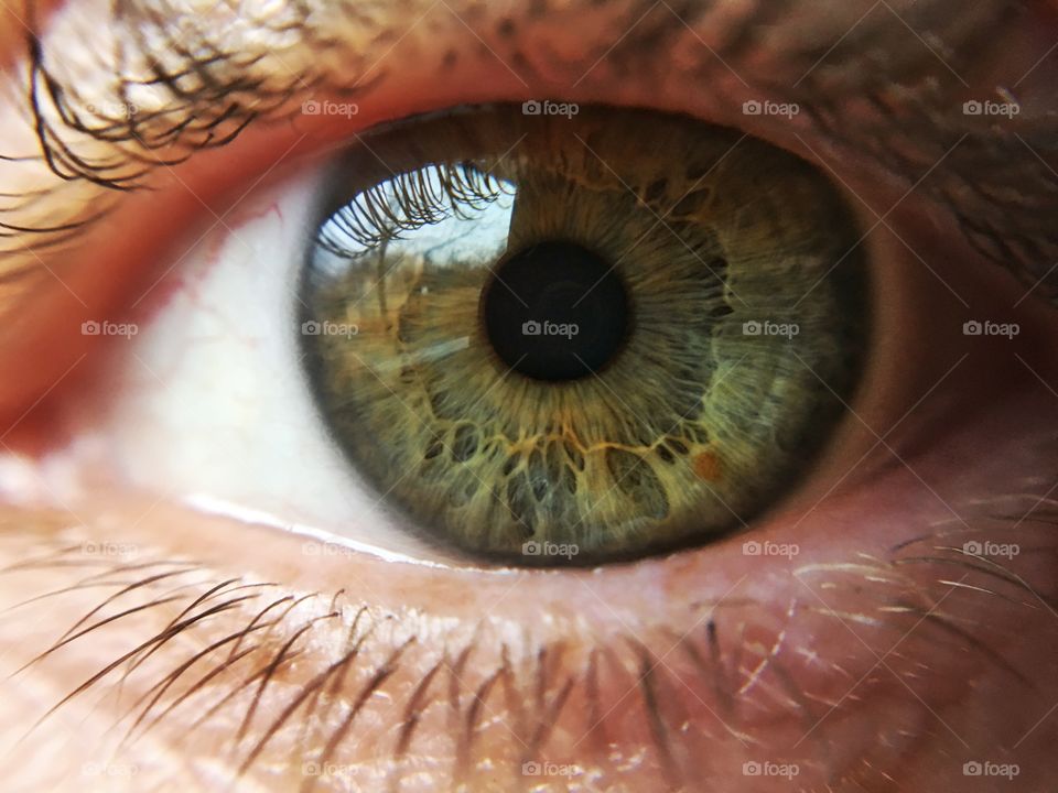 Close-up of human eye