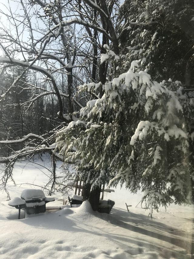More snow