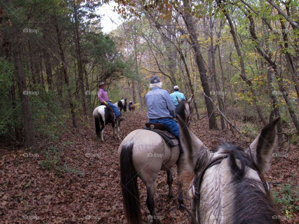 Riding horses at trail of tears