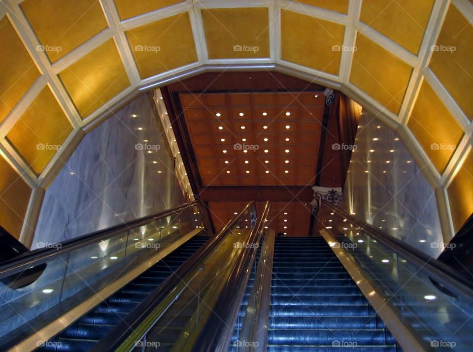 Escalators . Barrel Shaped Ceiling 