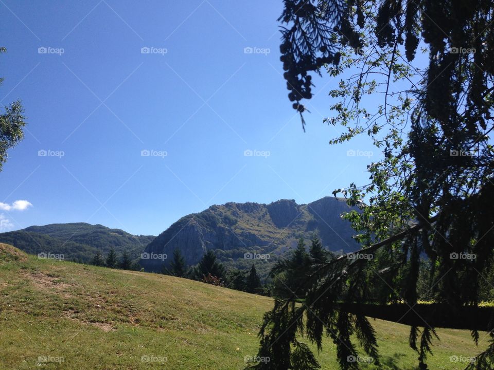 View of a green grassy mountain