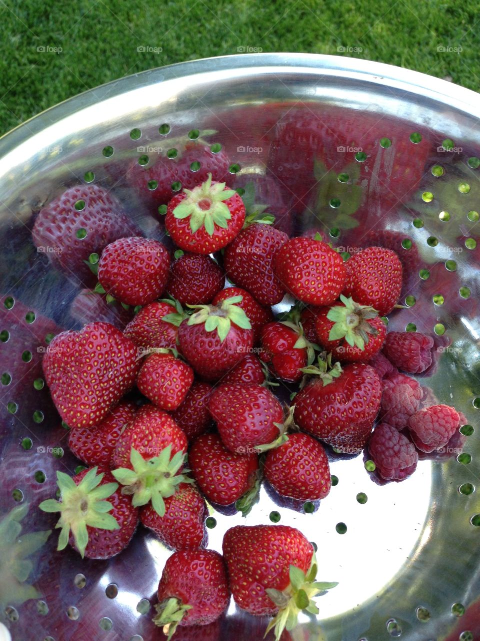 Fresh strawberries from the garden.