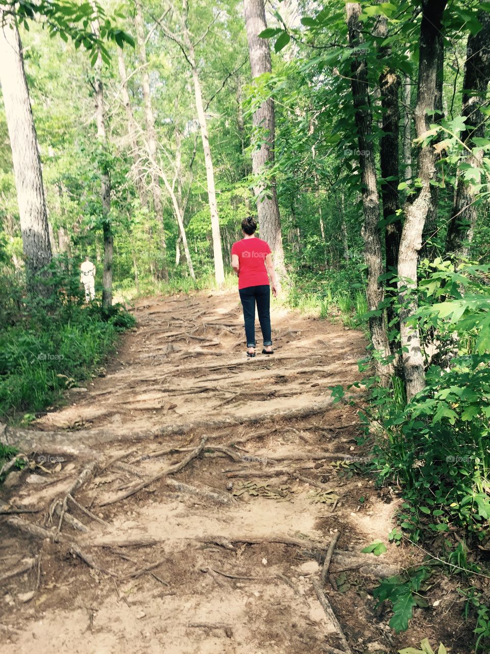 Woman walking up a very tree rooted path in the woods.