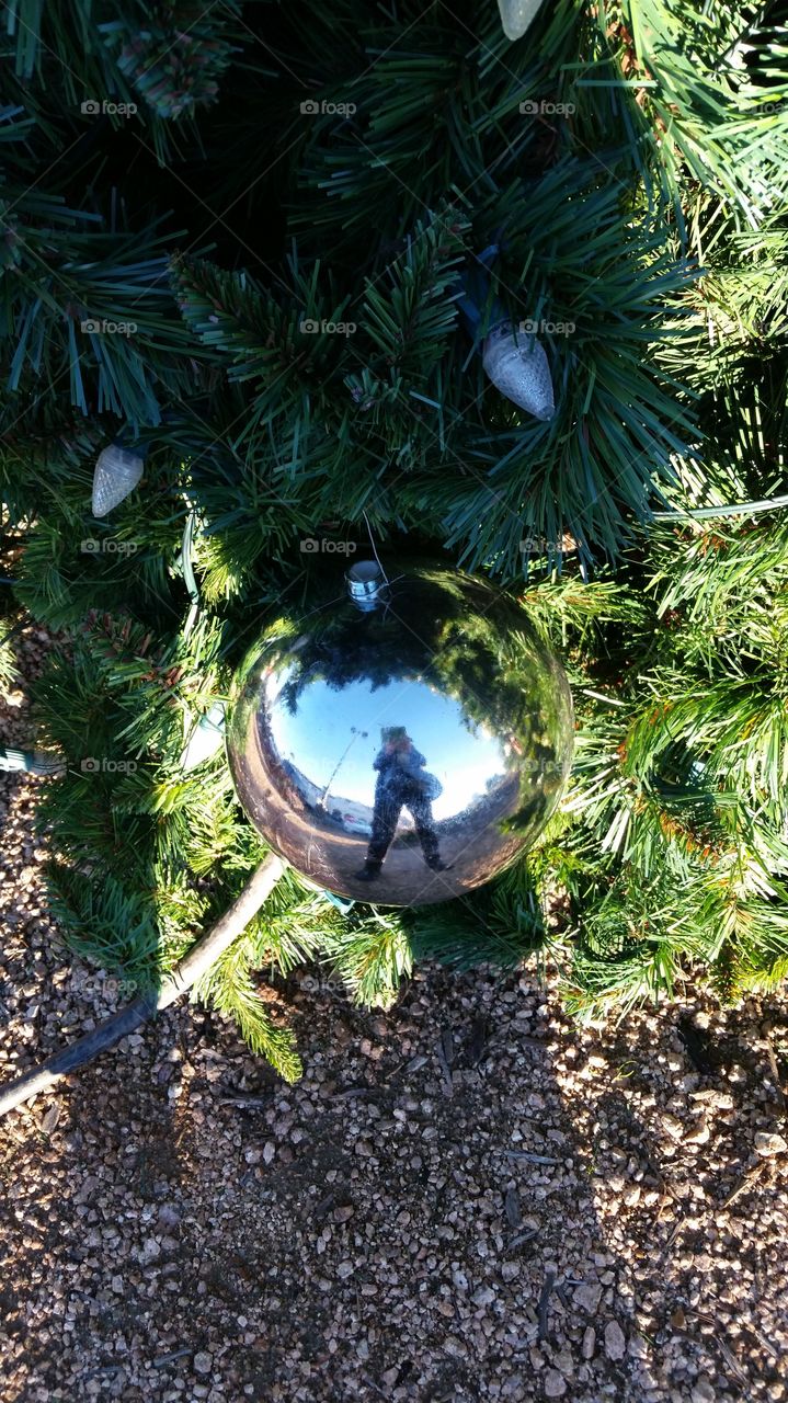 reflection in Christmas tree ornament