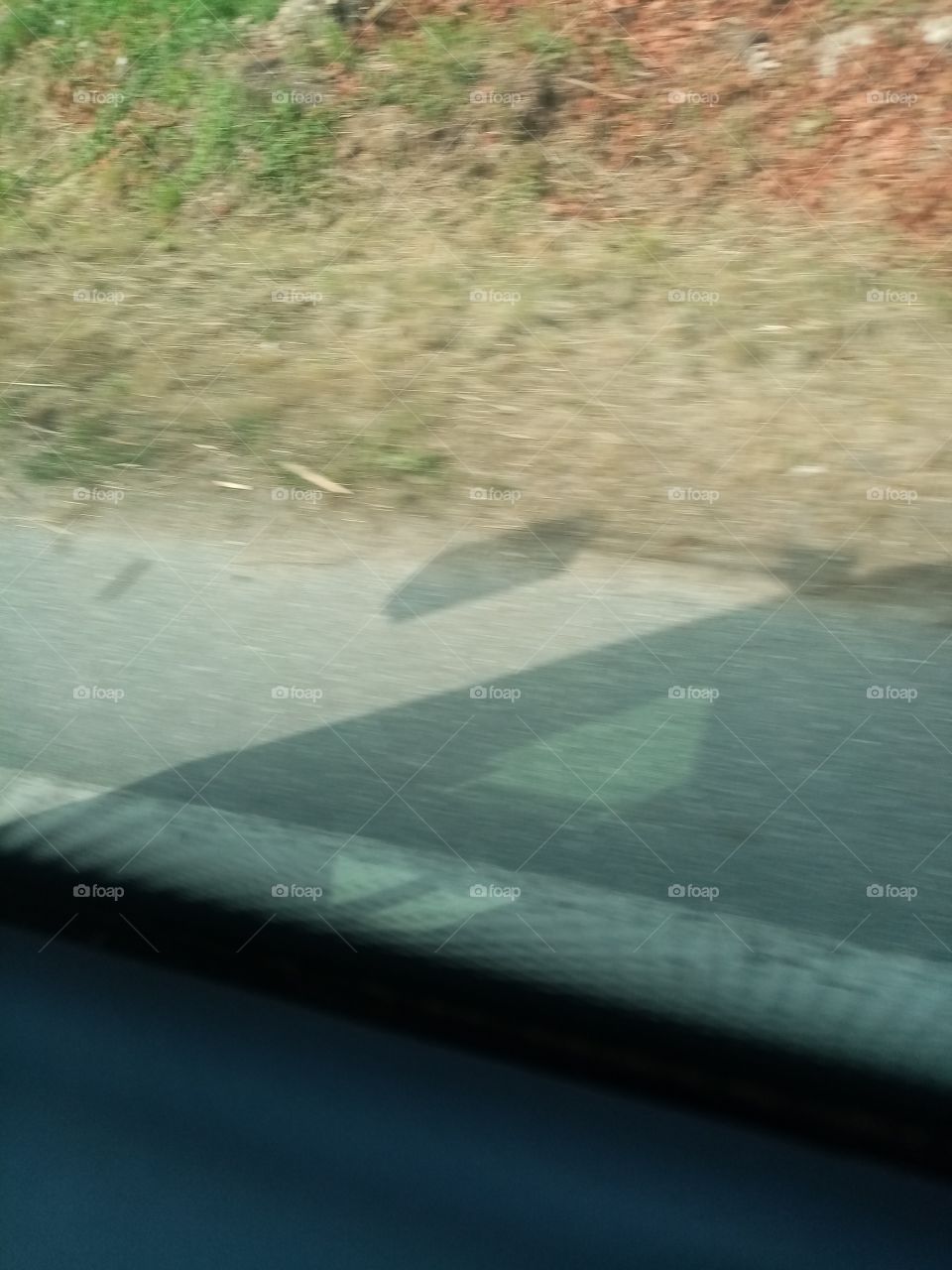 Looking for the Shadow