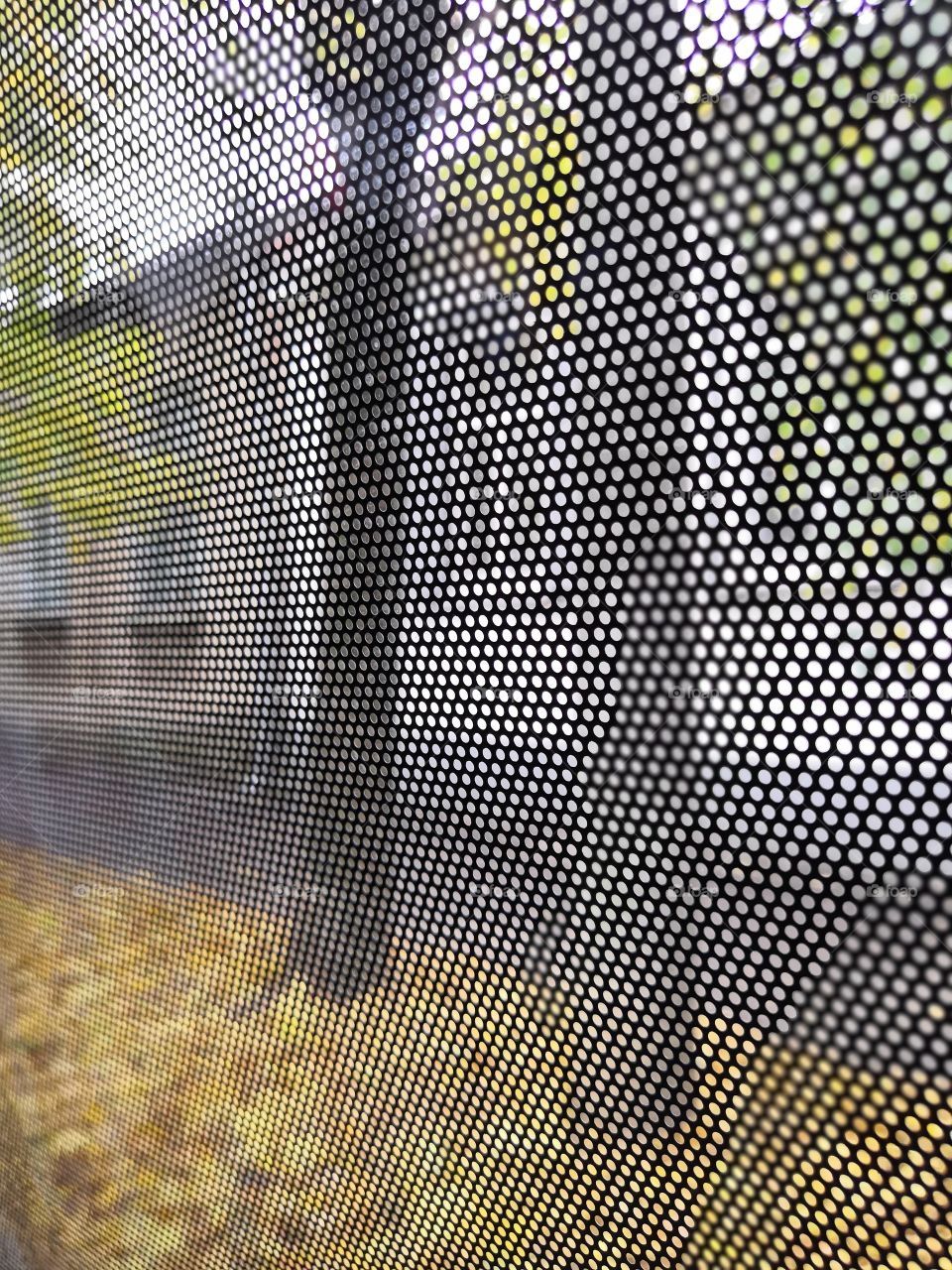 View from the car window