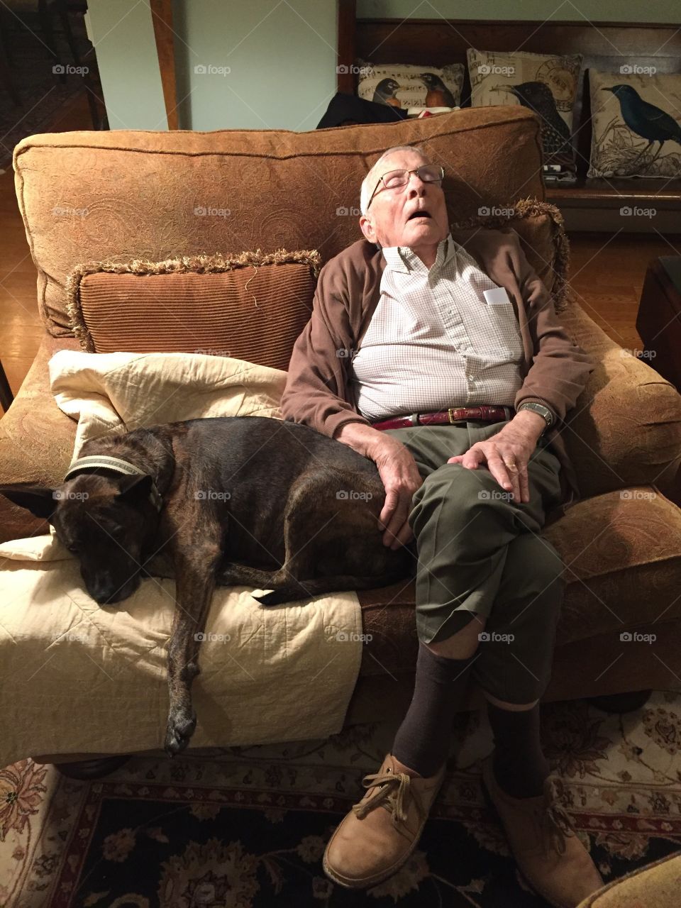 Grandfather resting with dog in house