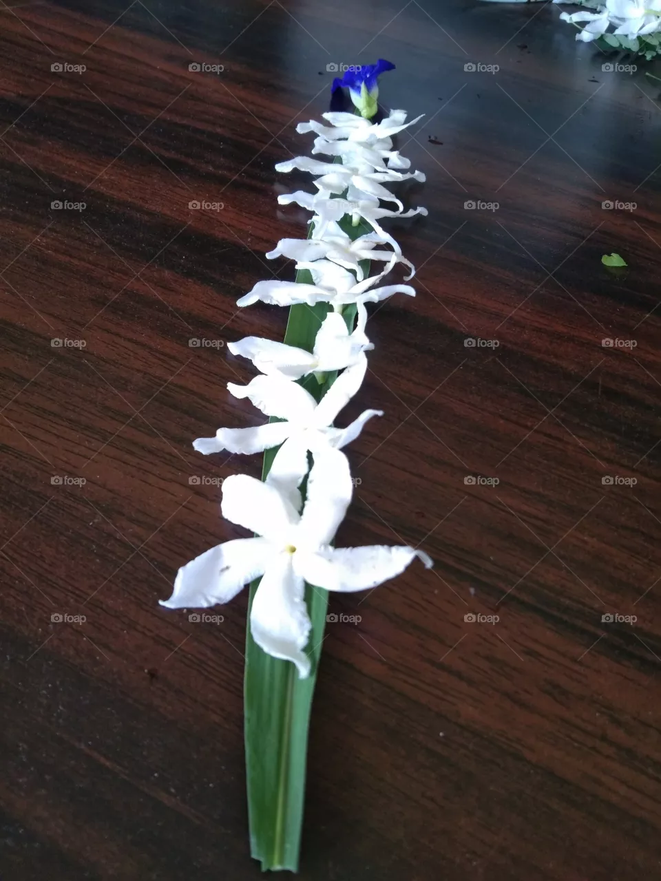 flowers mission