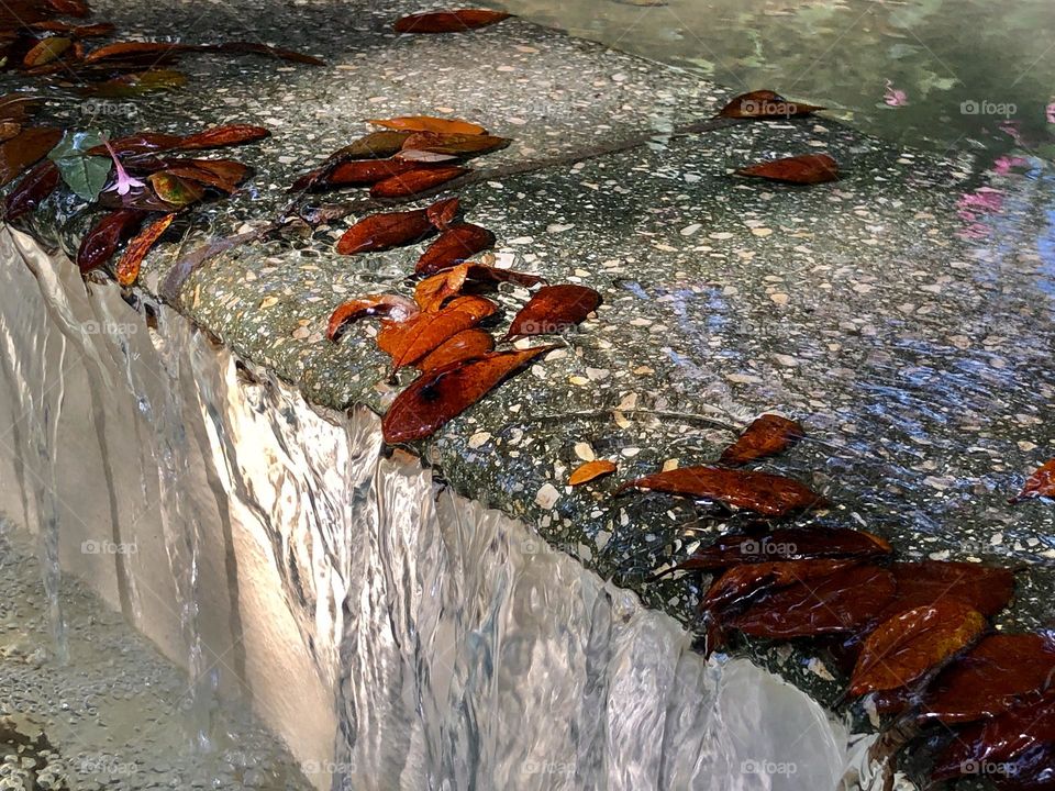 Sunlight on water flowing over the edge of a concrete fountain. Fallen autumn leaves catch then flow from the shadows.