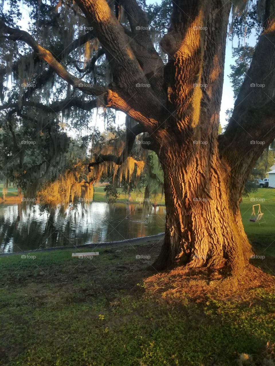 come sit n swing with me