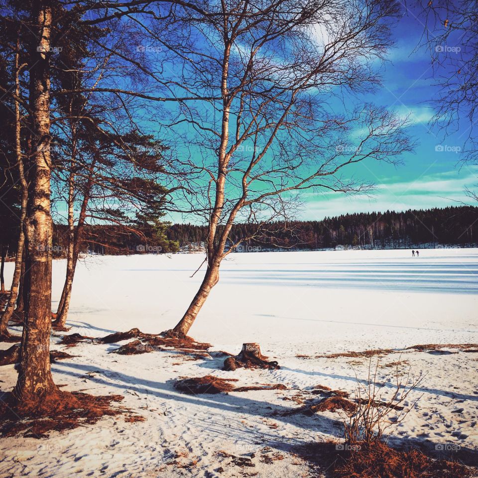 Sognsvann lake in winter, Norway 