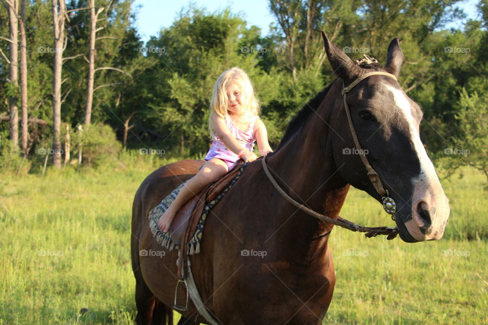 girl riding horse