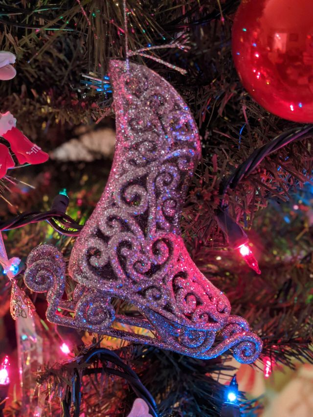 Christmas Skate