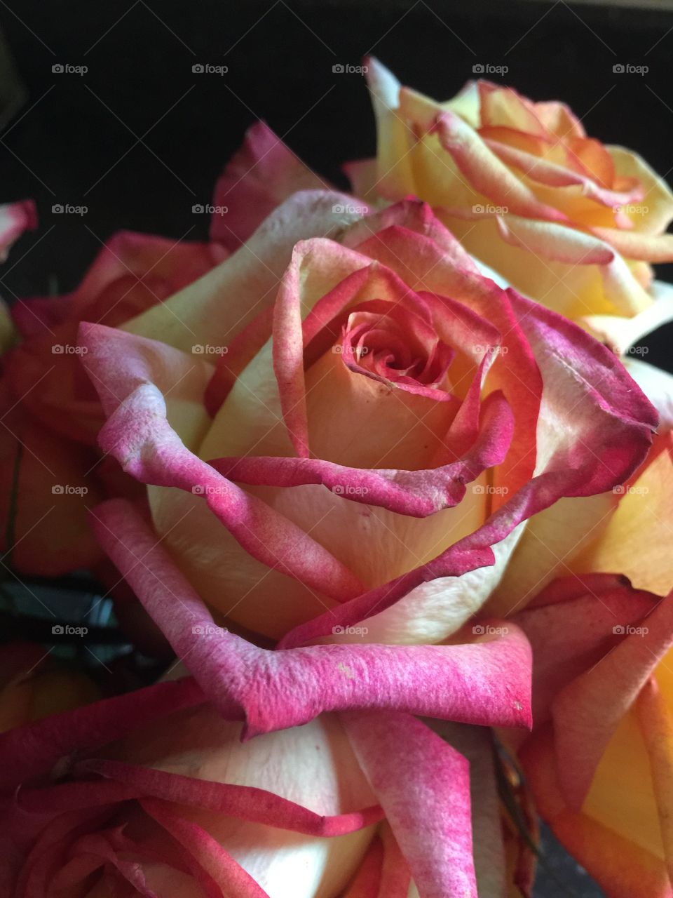 A beautiful bouquet of roses with a blend of gorgeous colors. 