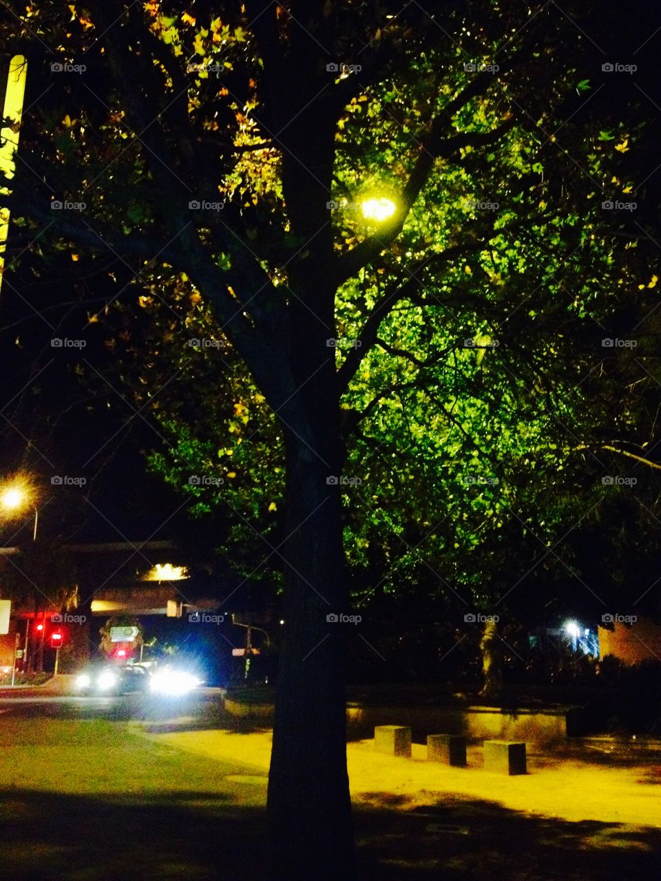 #FoapMarch17 picmas                      Urban light at night