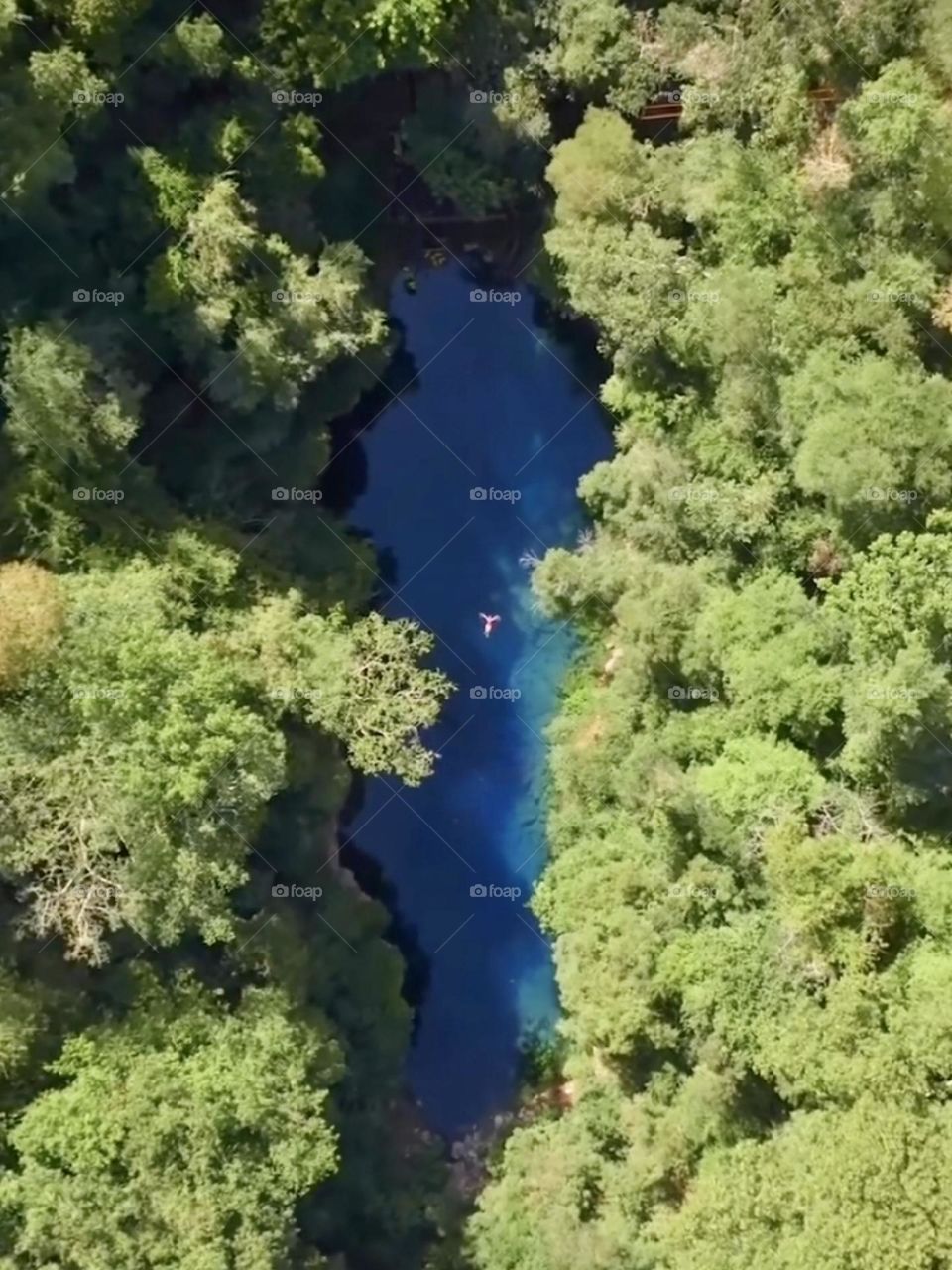 Aerial view of a woman swimming in the river in the middle of a forest