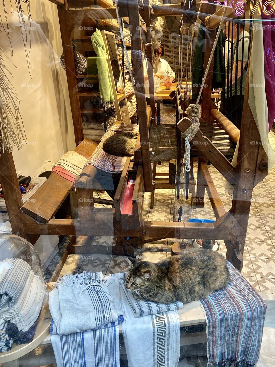 Традиция доброго отношения к кошкам восходит к пророку Мухамеду . Он проповедовал учение своим последователям, держа на коленях кота, и считал этих животных символом чистоты 