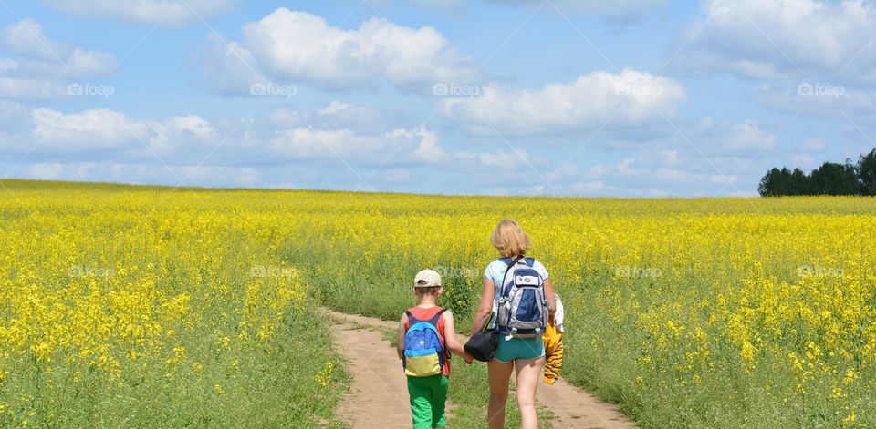 Landscape, Field, Outdoors, Summer, Nature