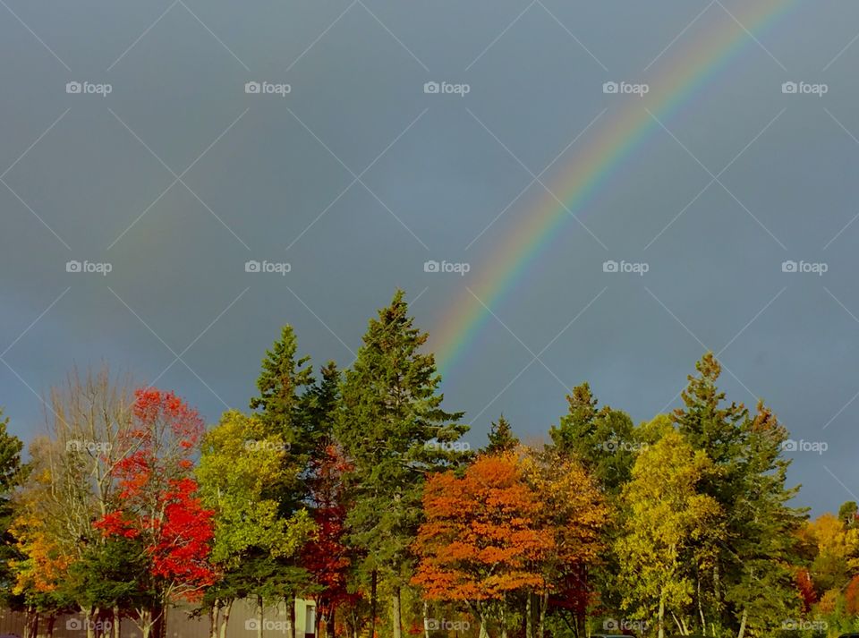 Rainbow in Autumn