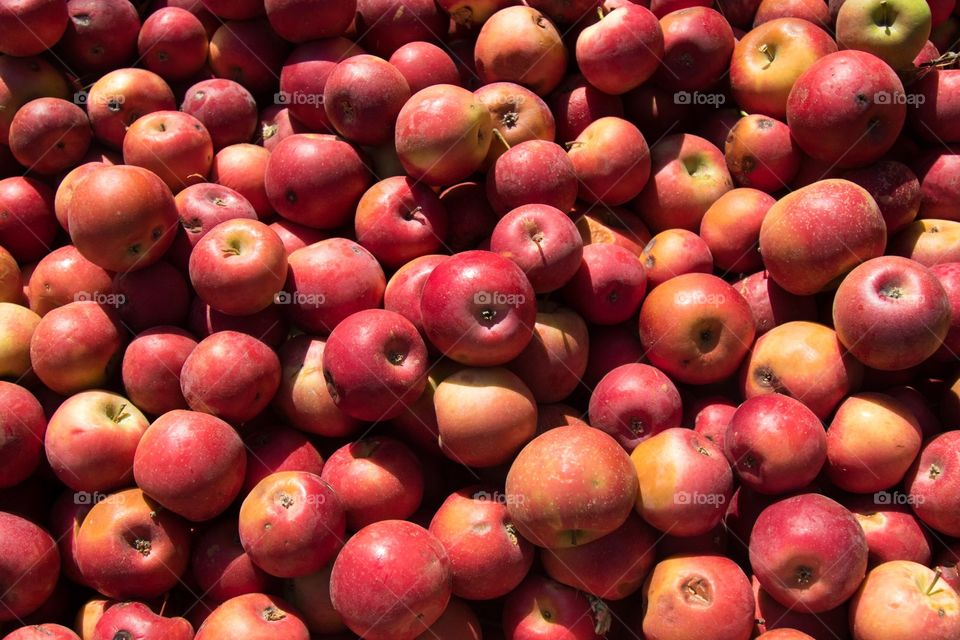 Apple, Fruit, Food, Market, Healthy