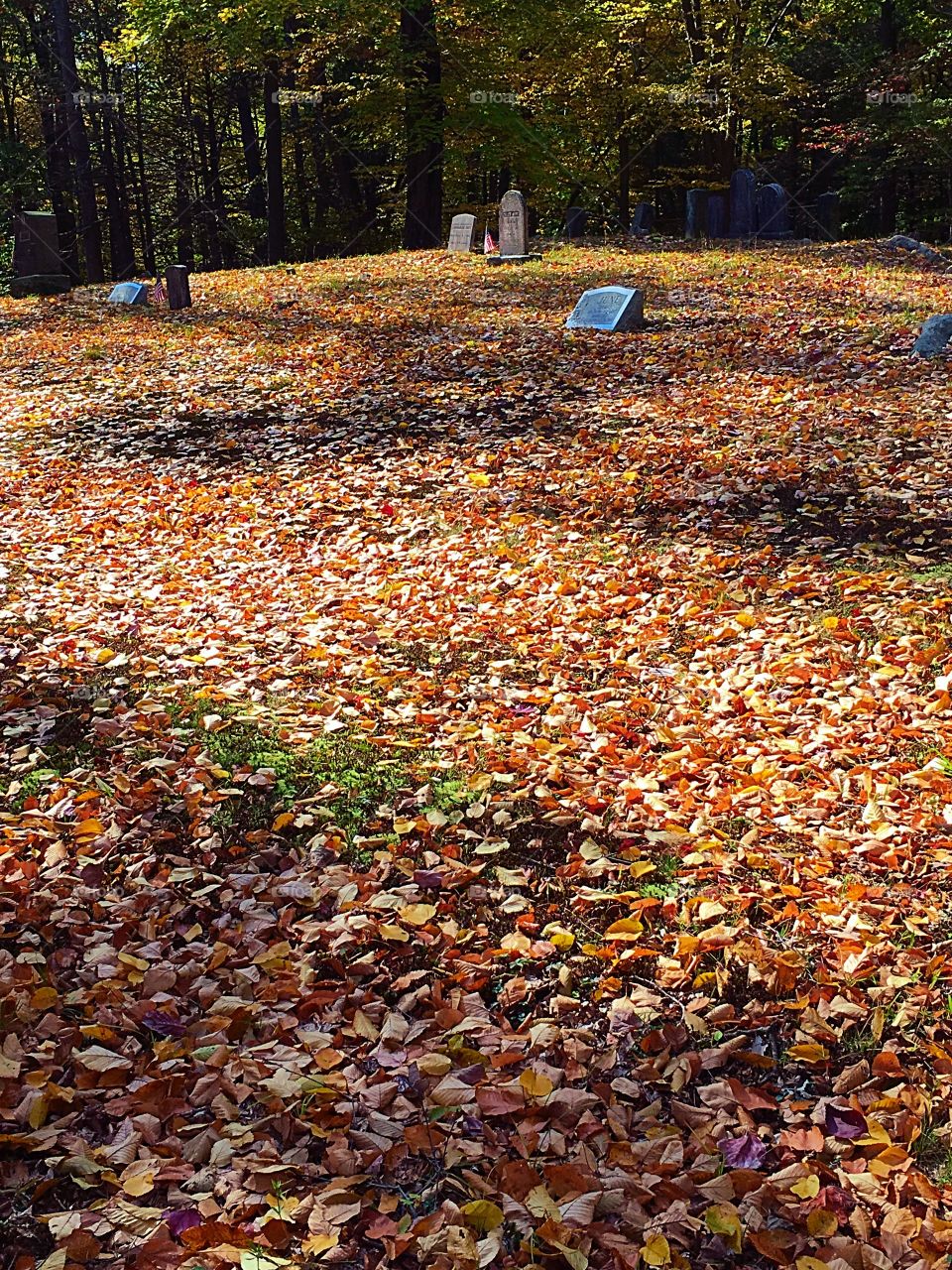 Fall foliage on an old cemetery 