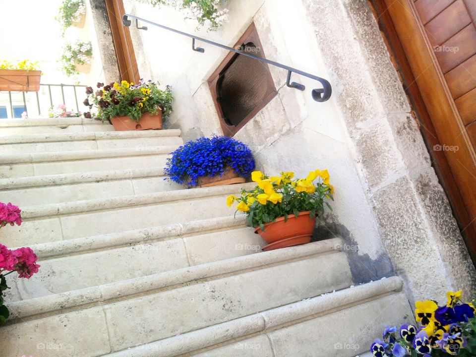 Beautiful flowers on the stairs.