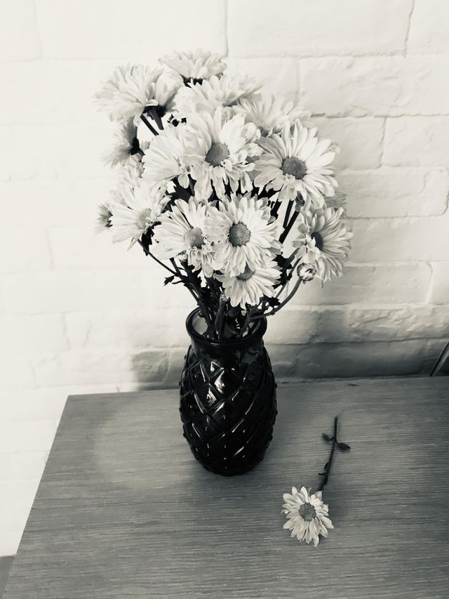Flower in vase 